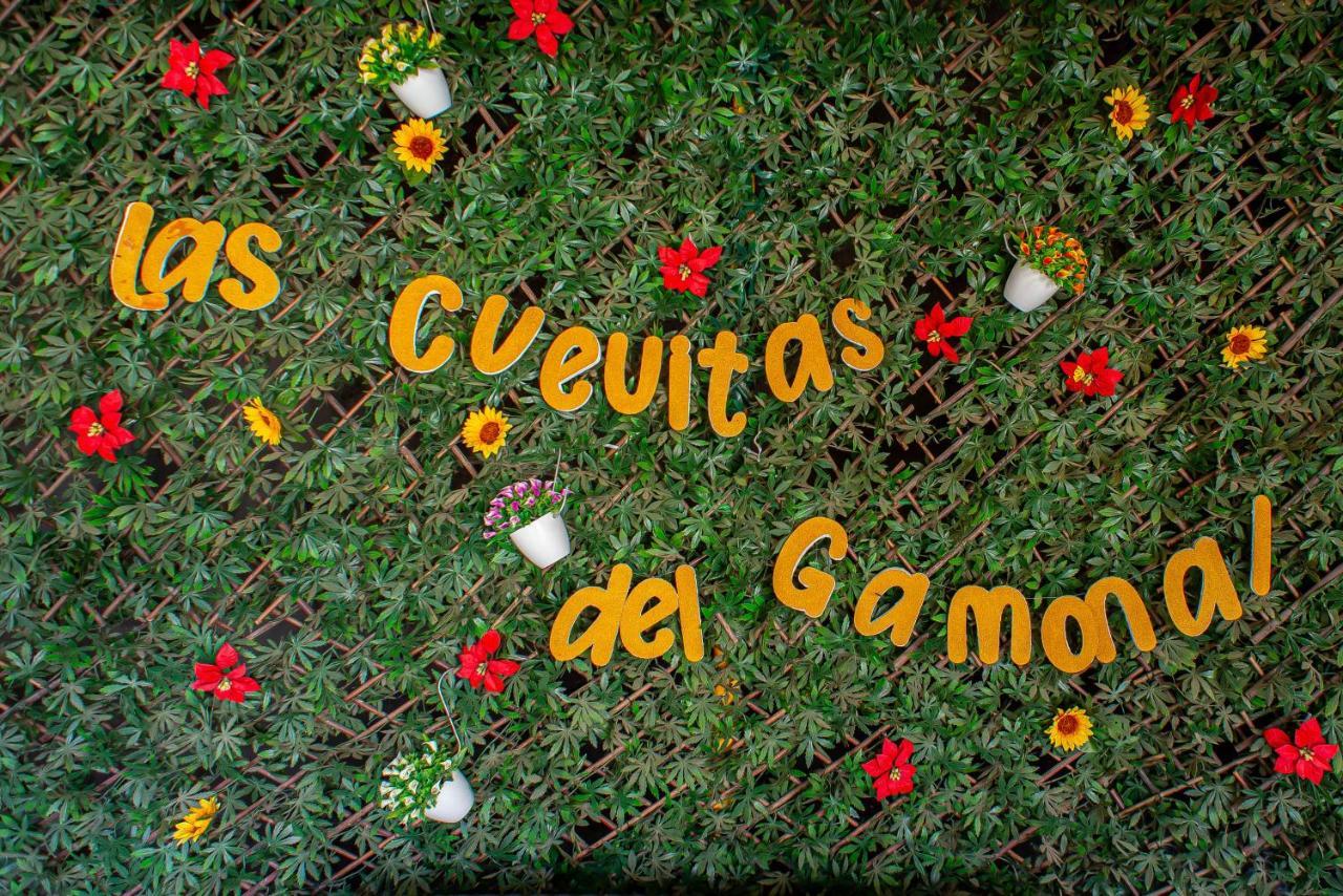 Las Cuevitas del Gamonal Santa Brígida Exterior foto
